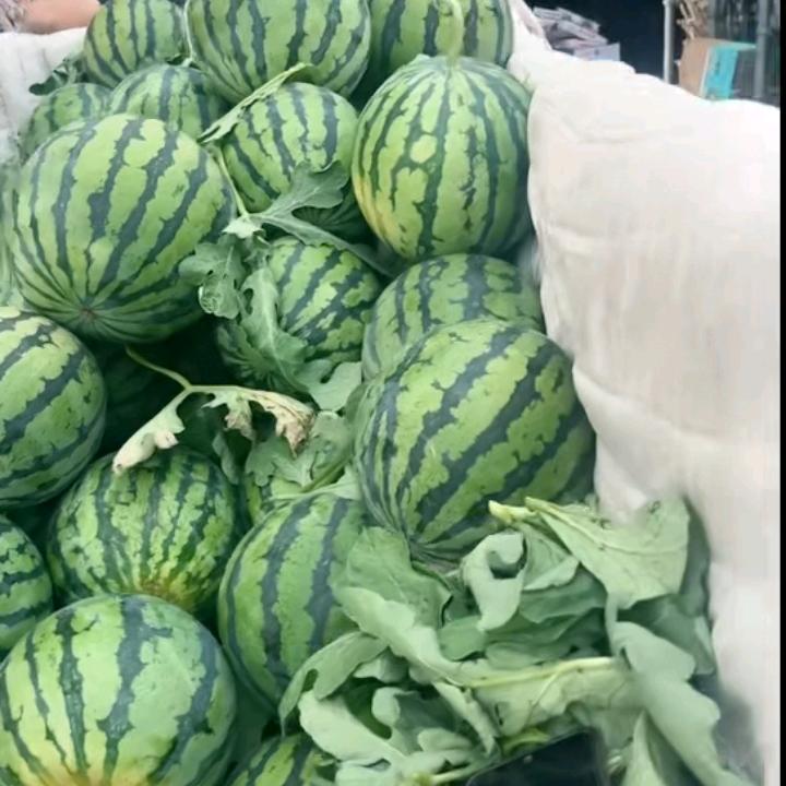 凤阳板桥！漂移水果王刚要🍉🍊🍒🍓