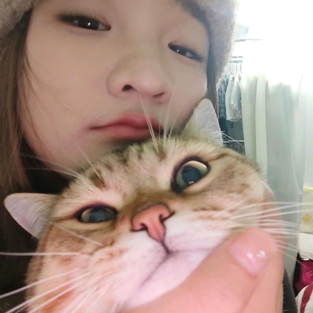 一只大智