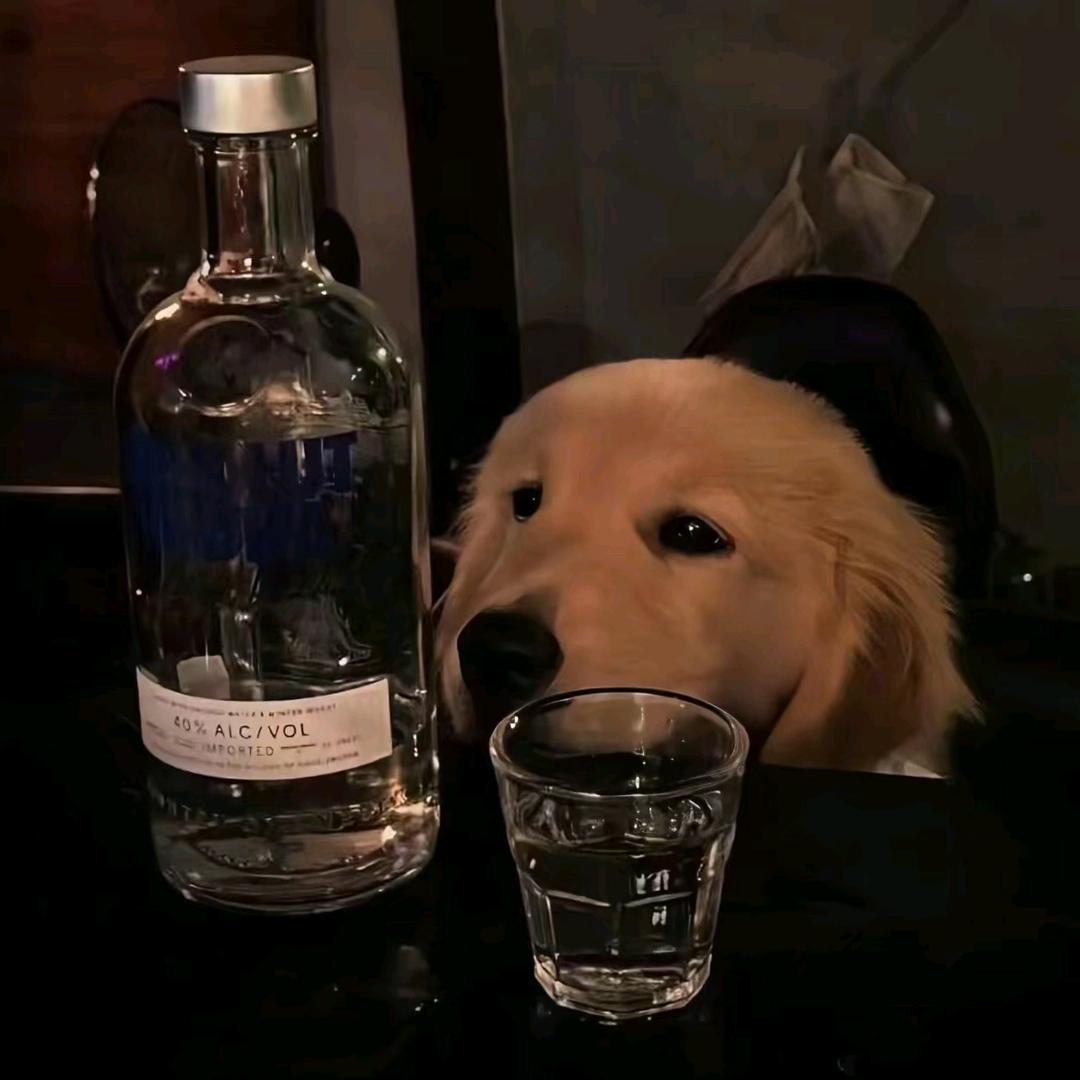 93岁纯情母蟑螂拉出3吨黄金巨蟒