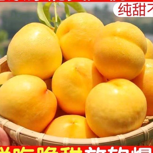 沂蒙小姜（蒙阴蜜桃）