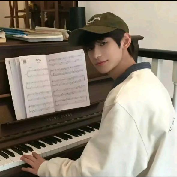 杨木木夕木木