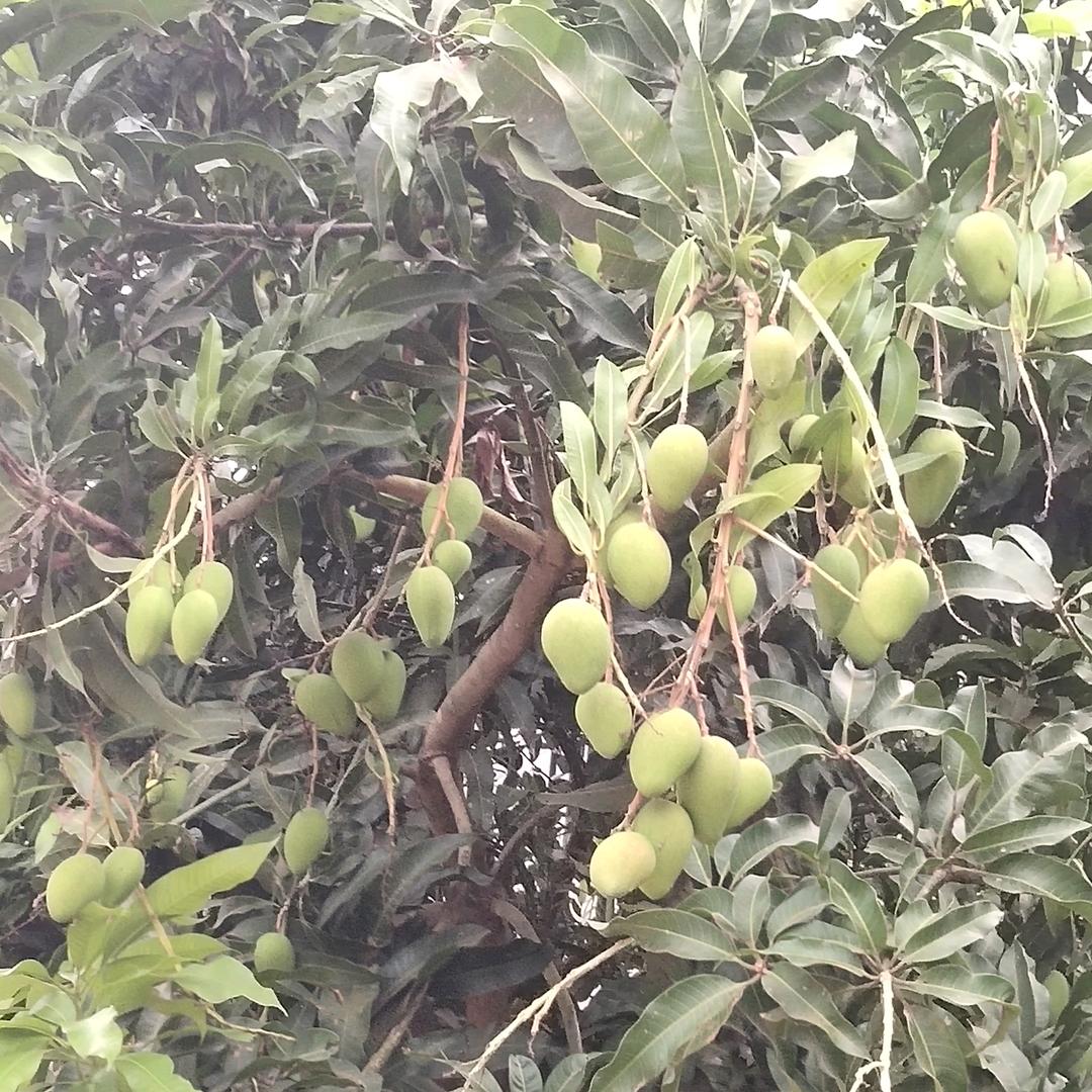 你我有缘