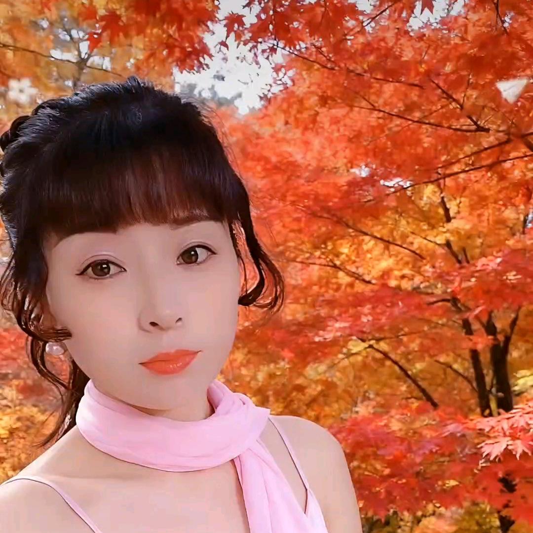 芙蓉