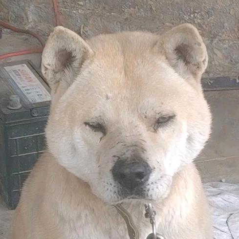 南宁横县槟榔哥