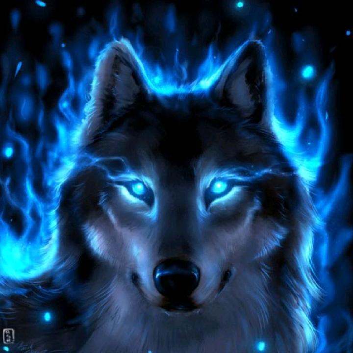 淮南市康安装饰工程有限公司