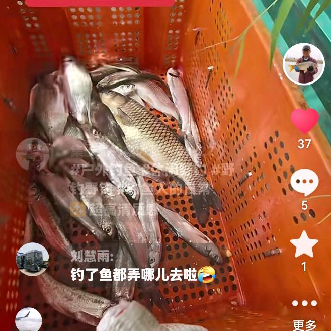 集卡届钓鱼大叔