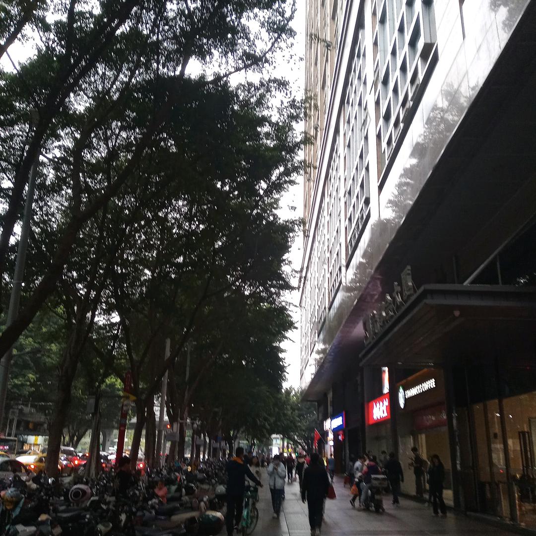 大湾区尚品女鞋