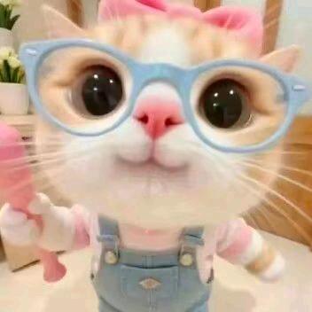 九洲袋鼠宜宾北大街熊辉萍