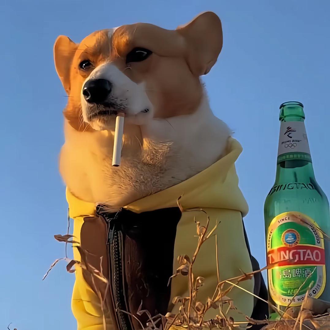 moudgdg