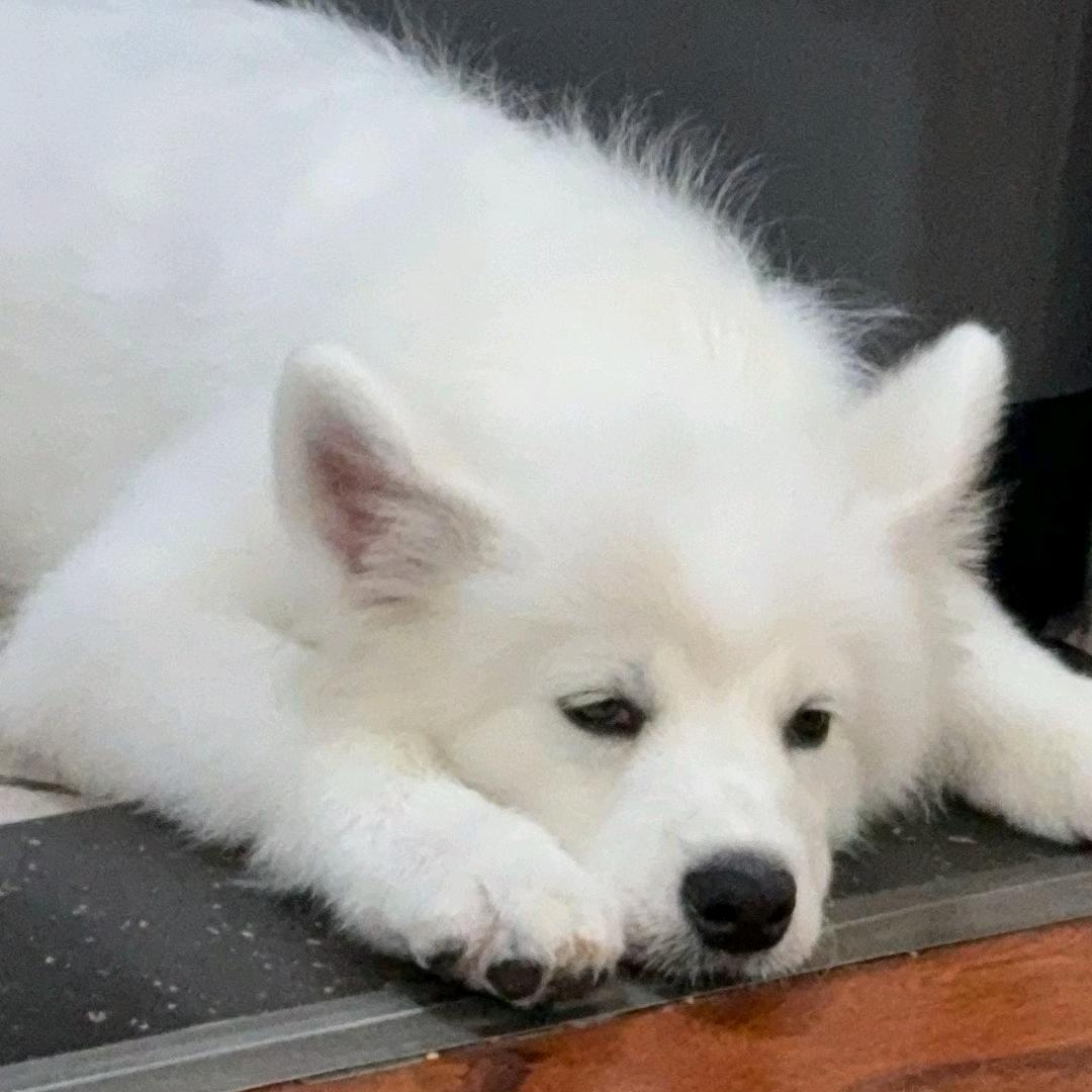 爬山之半路脚疼