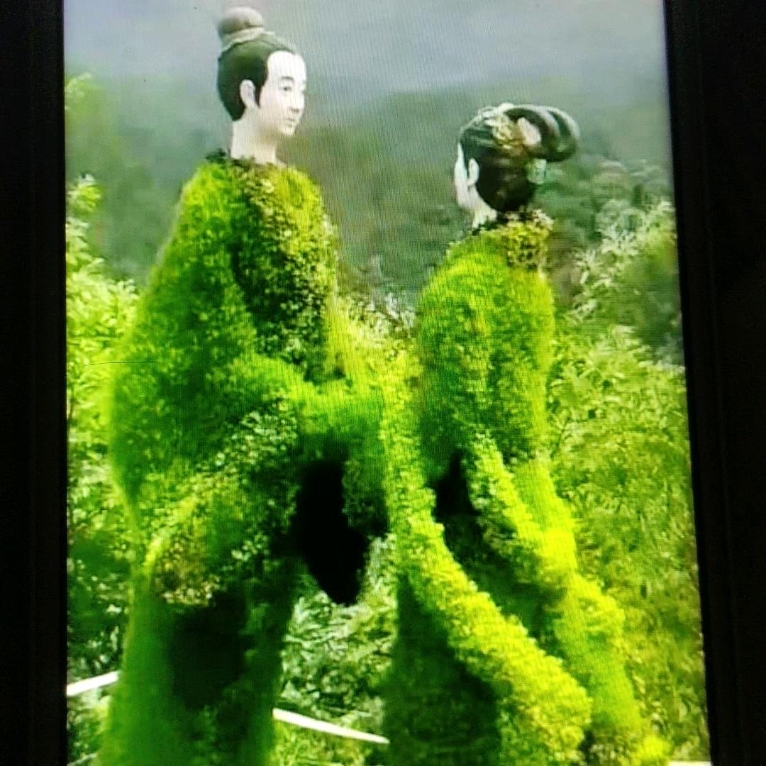 继军哥