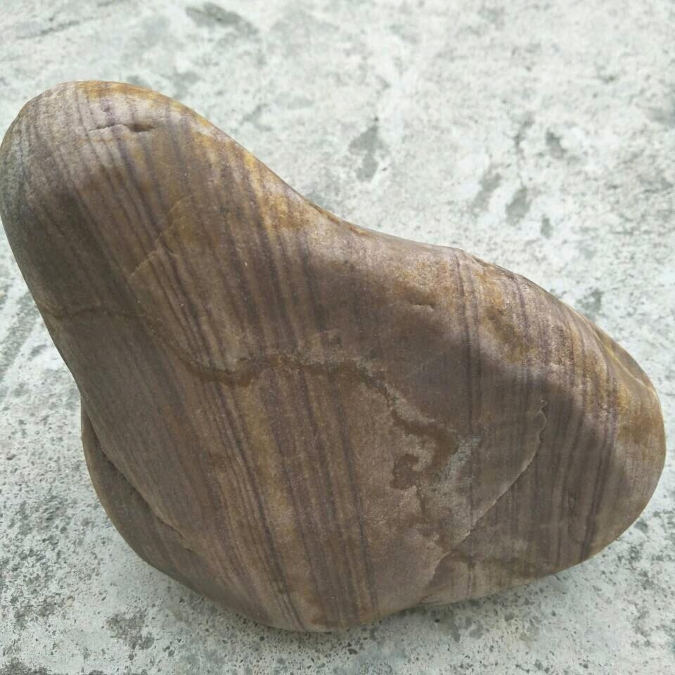 语过添情（诚信驾培）