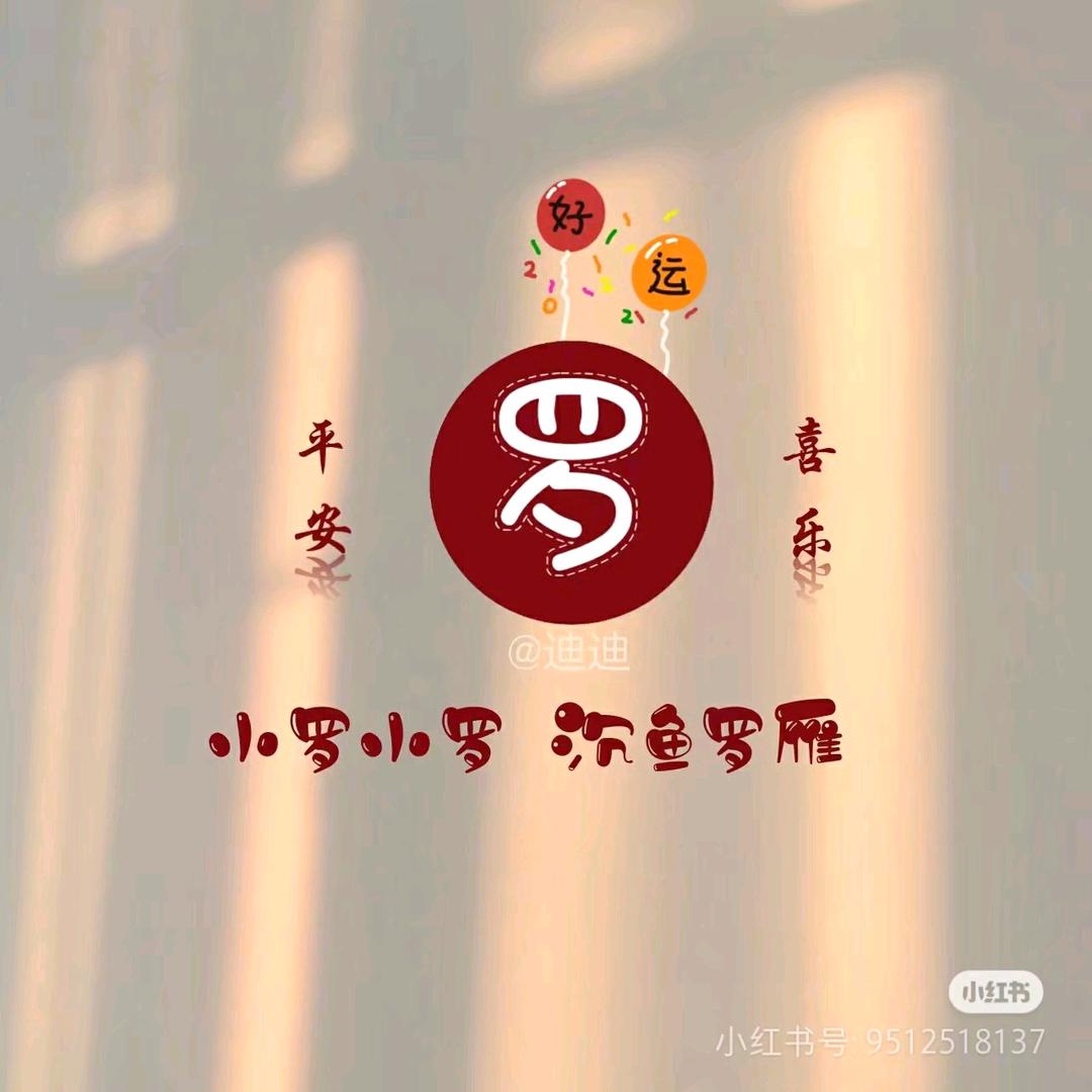 罗小罗