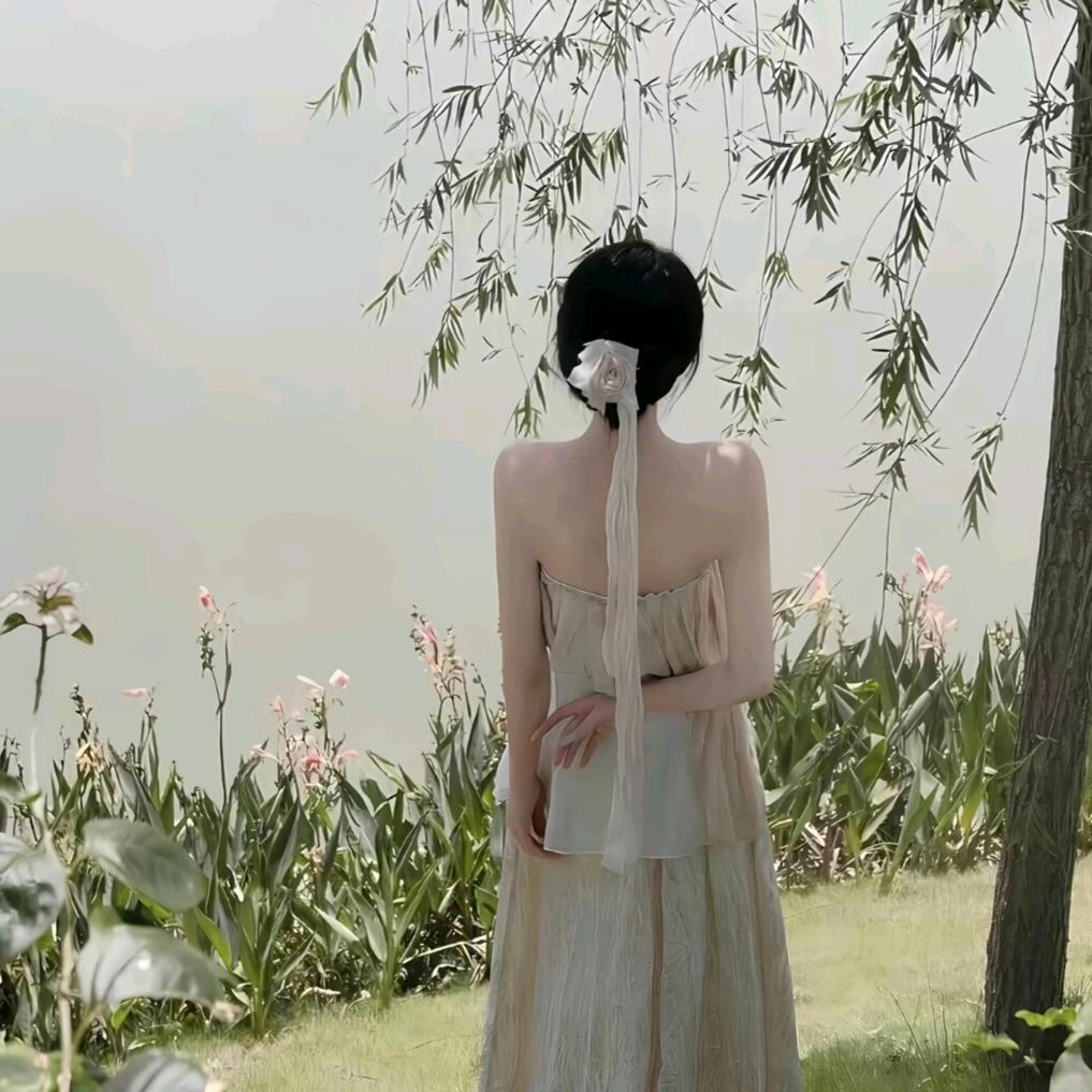 一只鱼宝