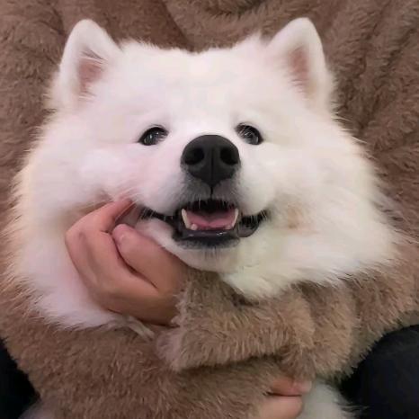 朝阳区易胜商贸