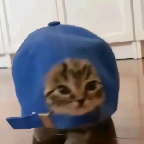 奥的斯（永劫测评）