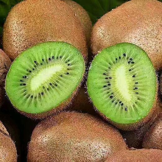 永悦猕猴桃采摘园