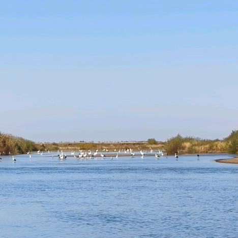 ٩(๛ ˘ ³˘)۶🌹静🌻心🌷೭(