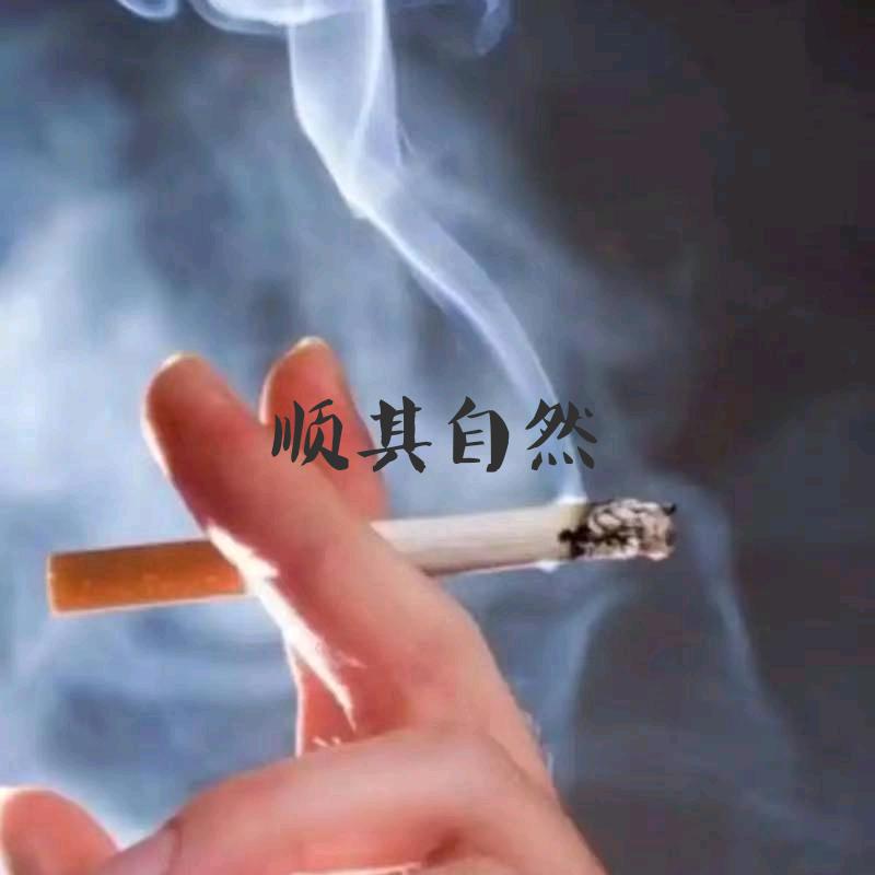 龙哥