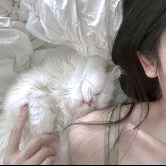 @你是我的小太阳