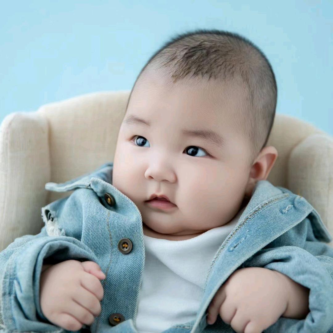 杨海涛