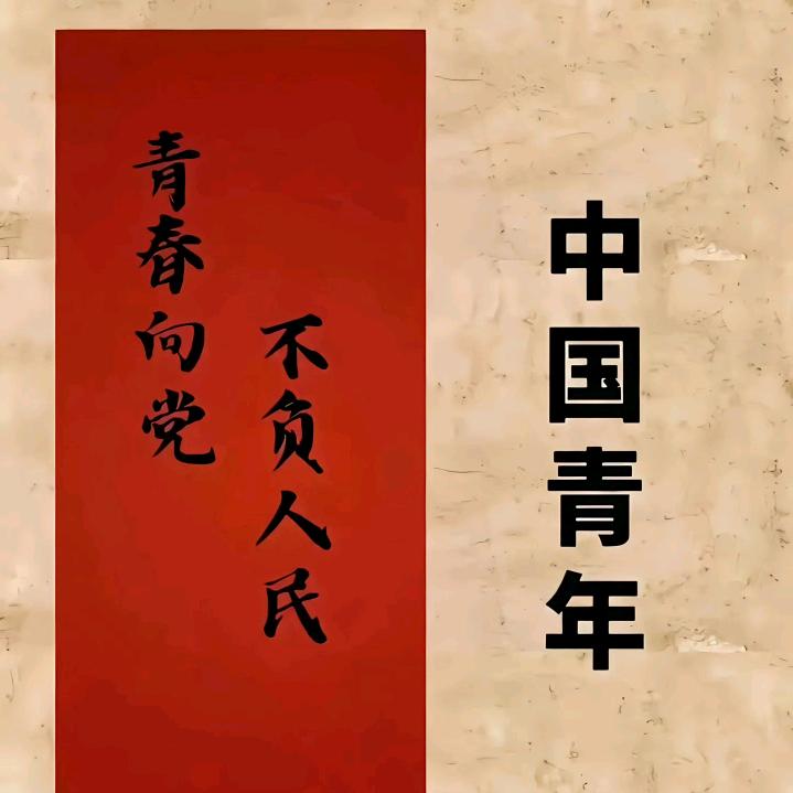 冯教练