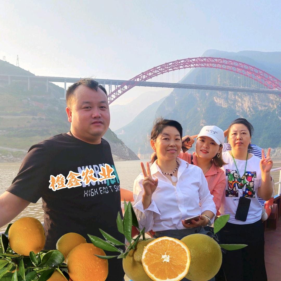秭归橙鑫农业