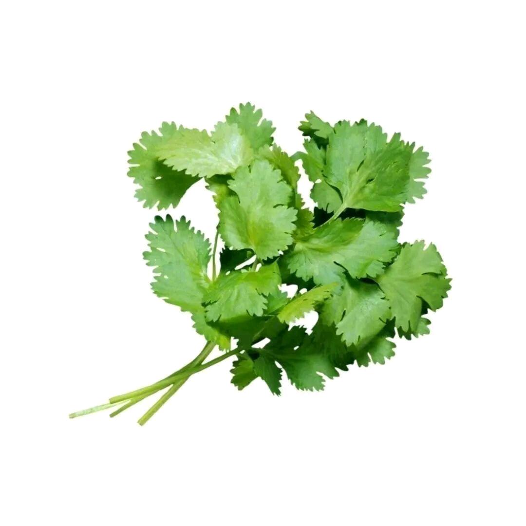 香菜味的鹤顶红