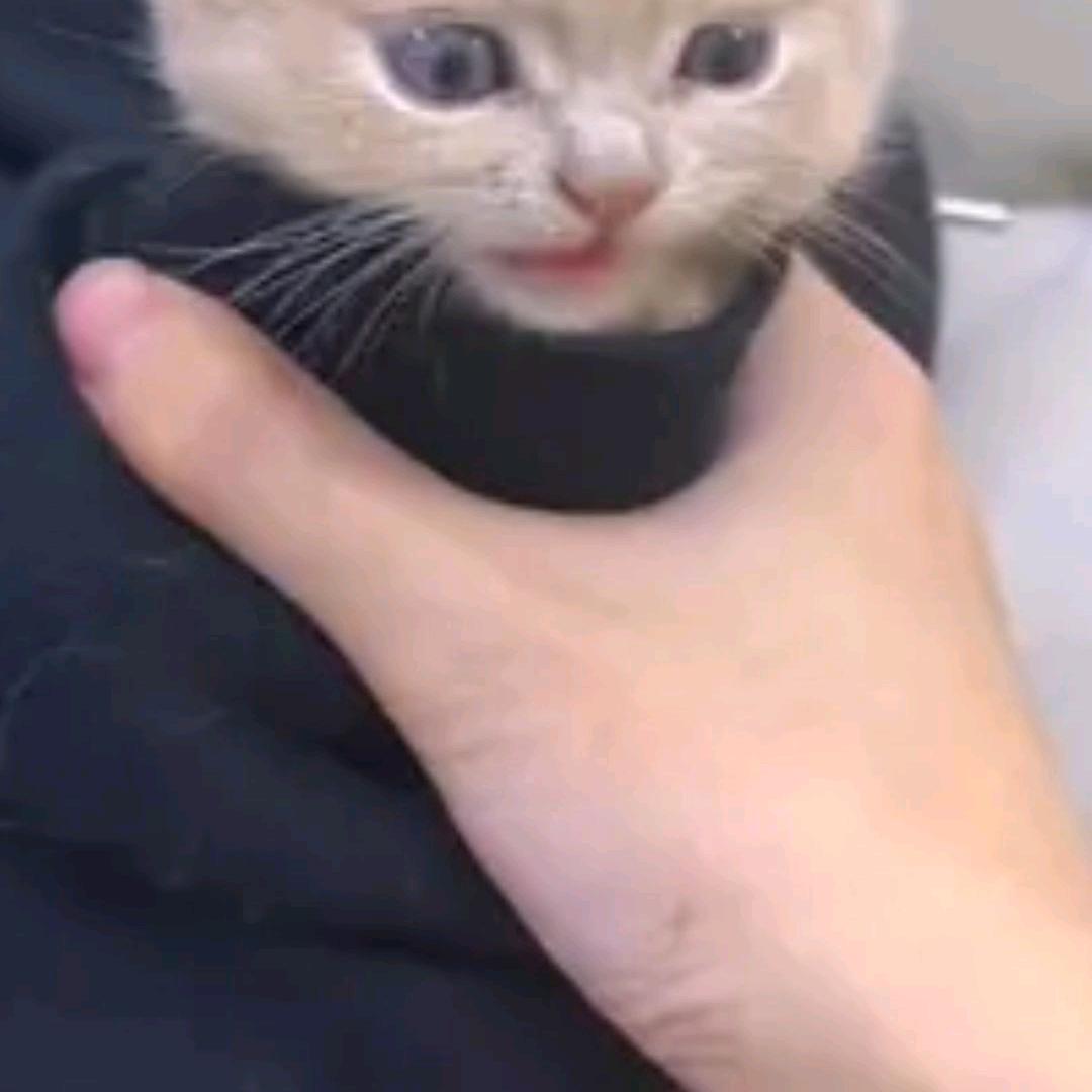 好可爱可爱呀 😭😭😭😭