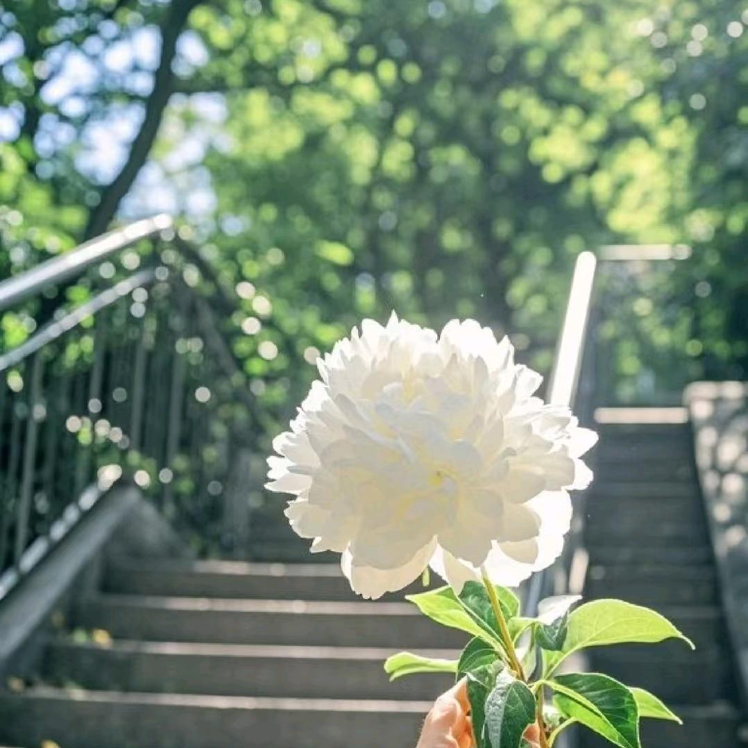 🎈欢欢🎈