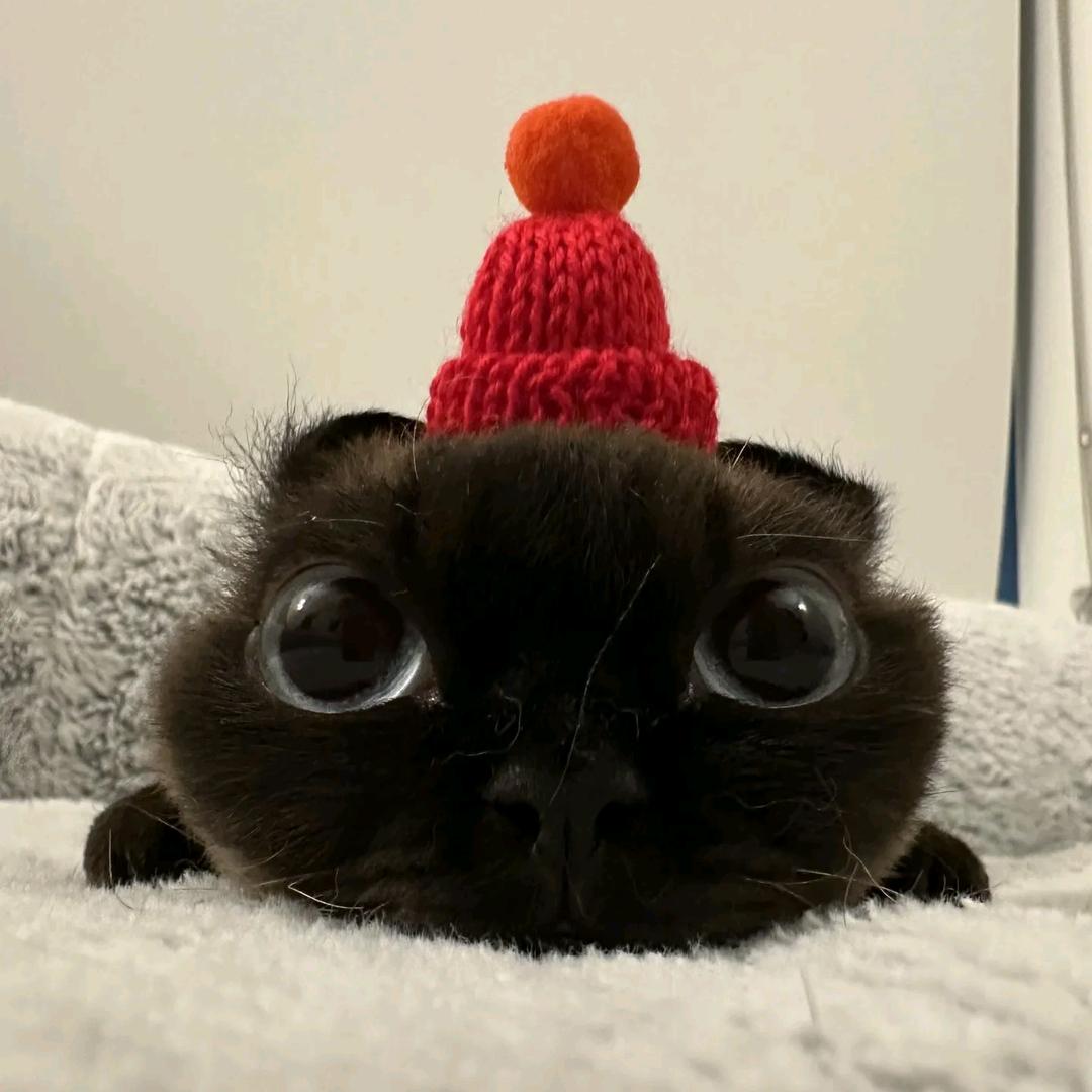 6.^_^