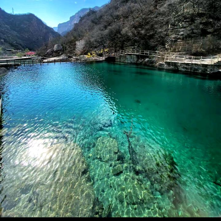 东莞市舜尧贸易