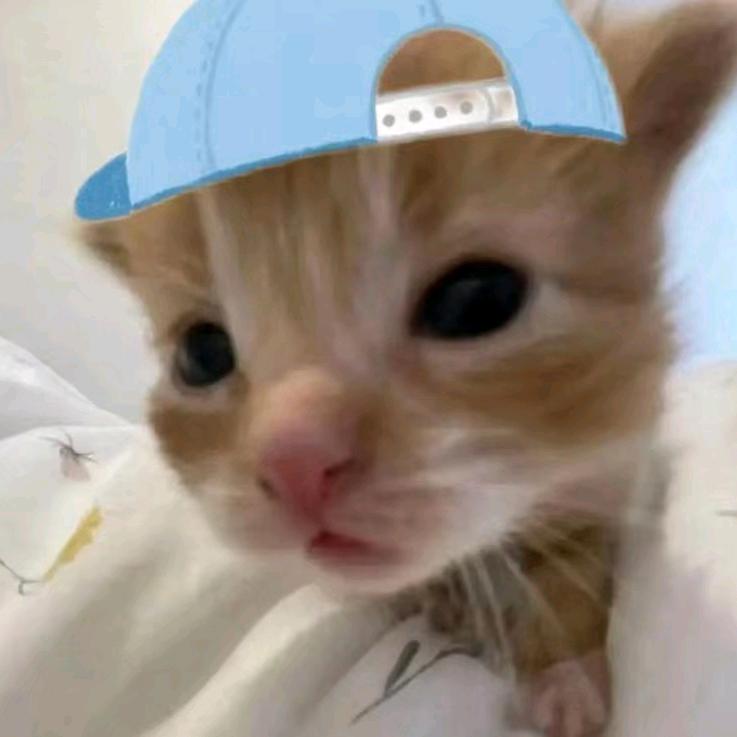 Gsss.