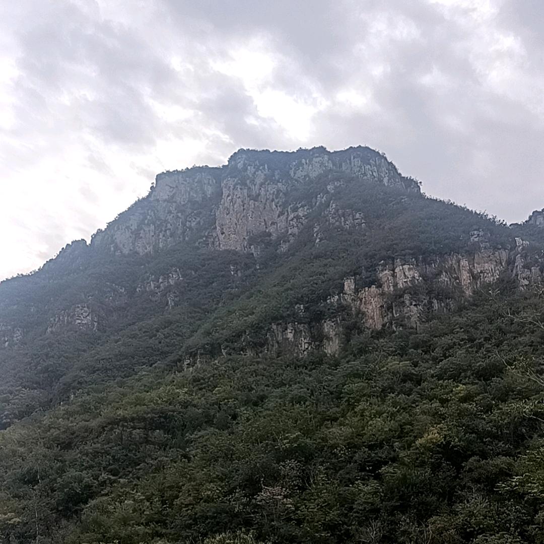 我是阿欢