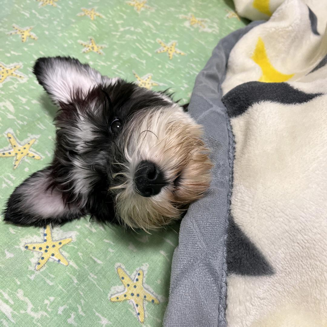 行侠仗义