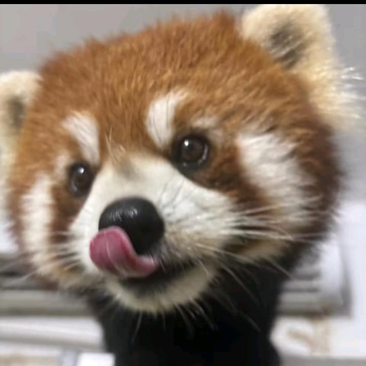 李重仁义重