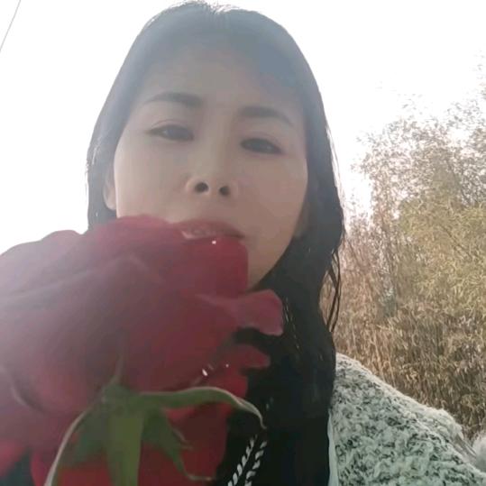 陆川春英窗帘