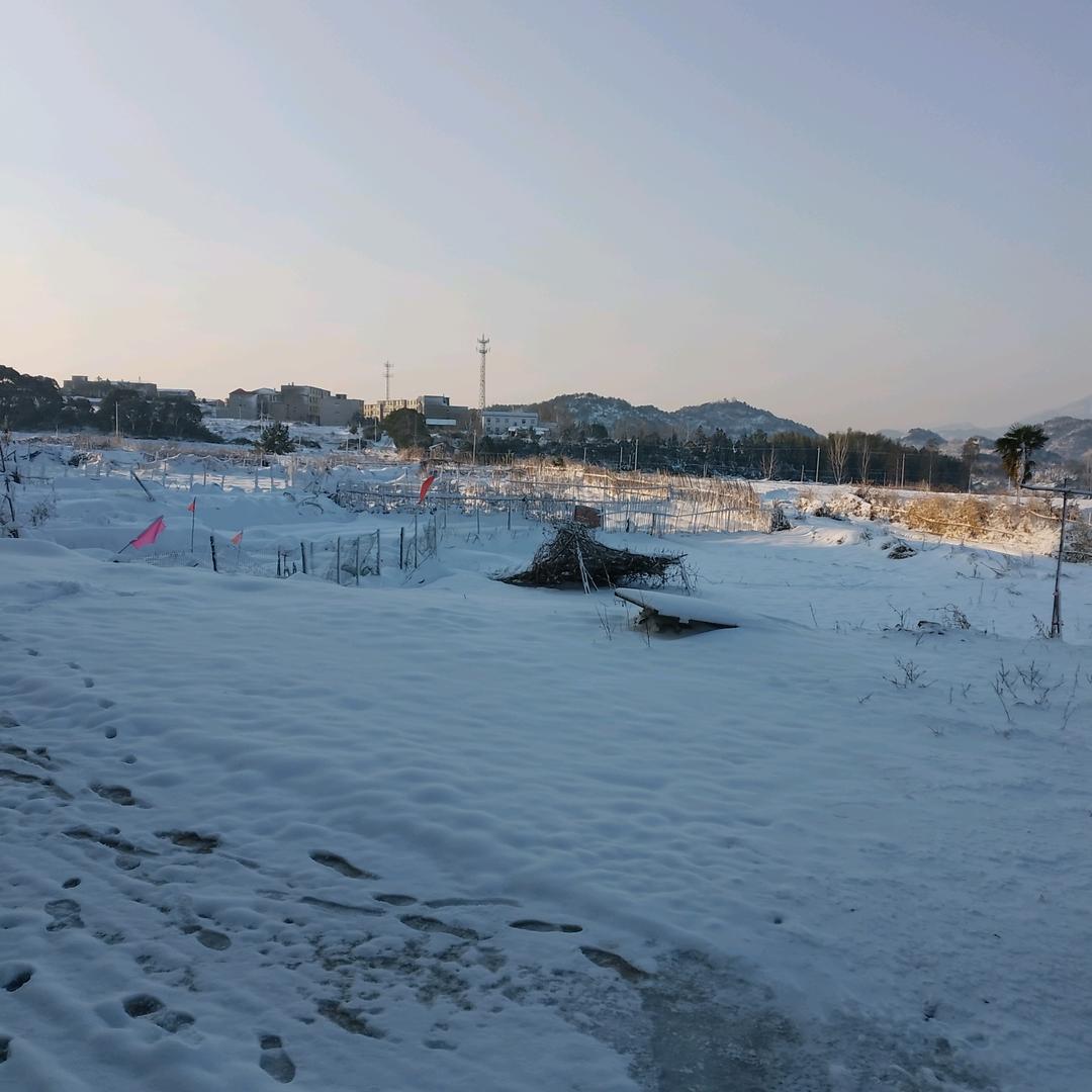 谁又记得你是谁