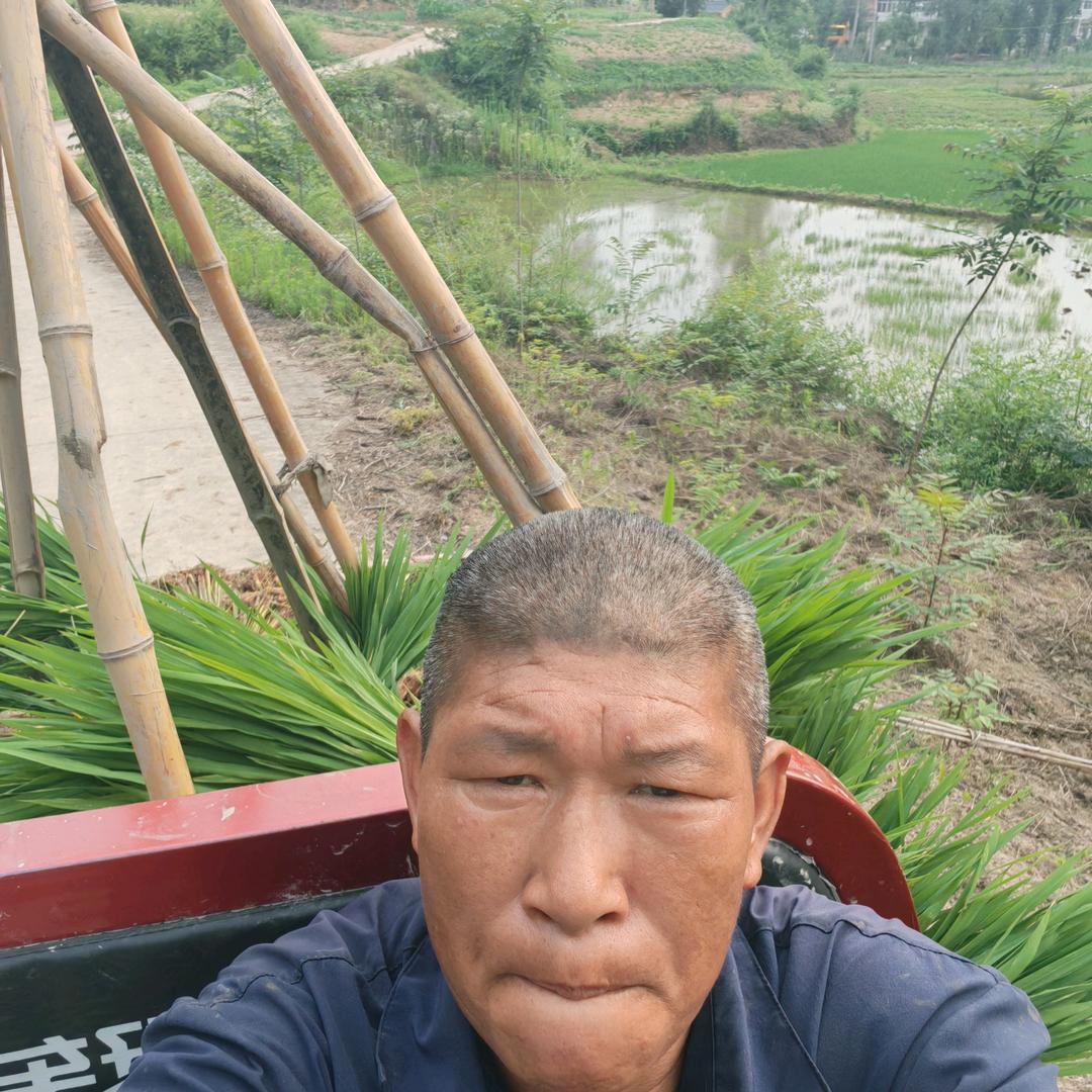 雷明山种田大户