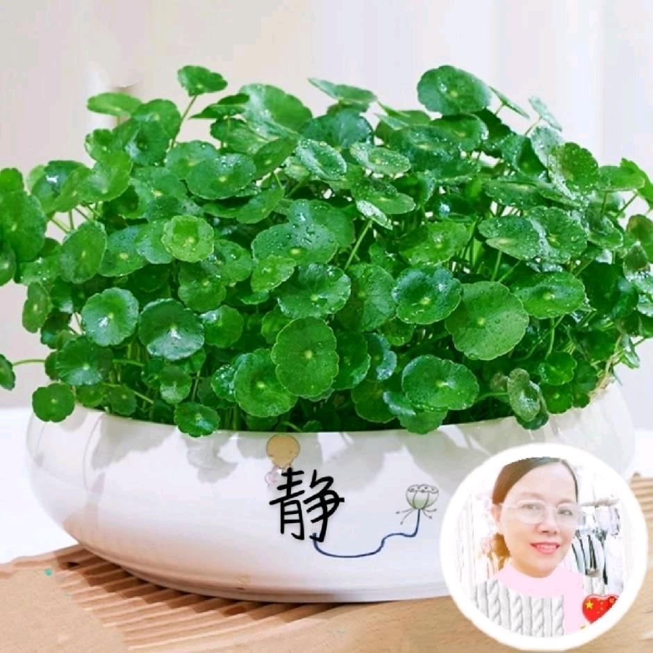 百事亨通