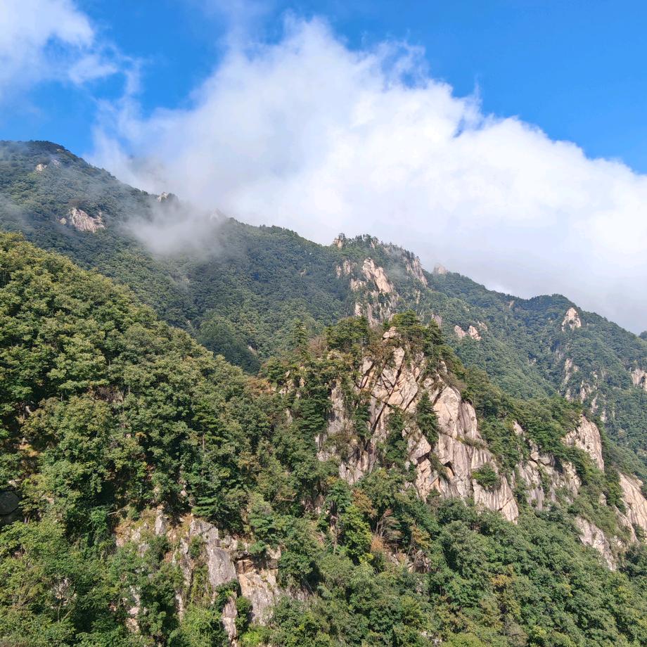 多多福