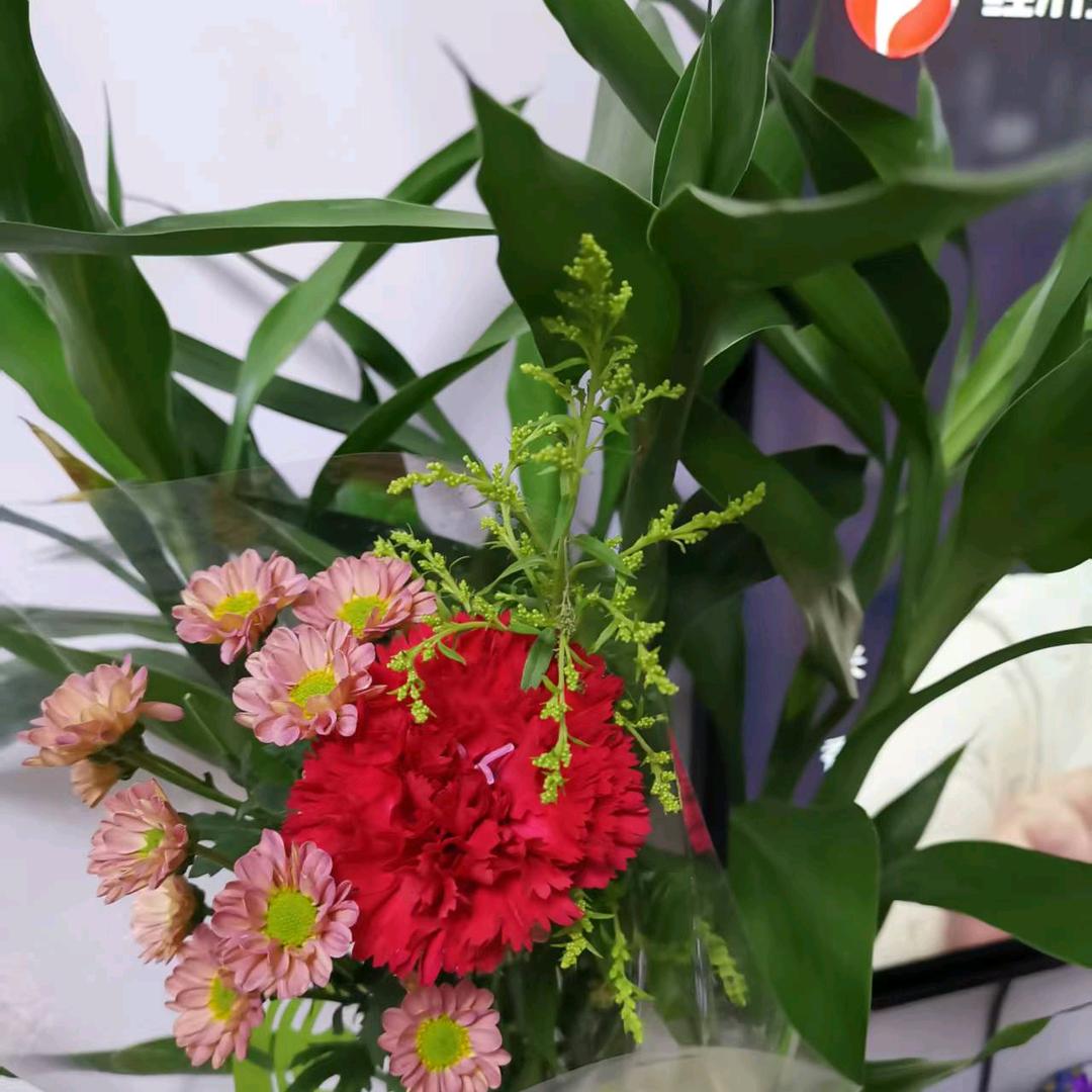 ℒℴѵℯ为你停刘º᭄এ⁵²º᭄এ