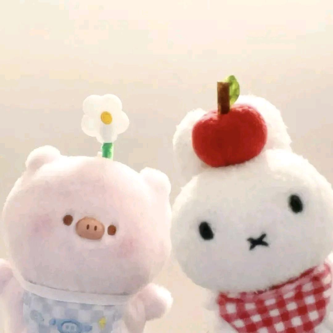 忧郁的小眼睛