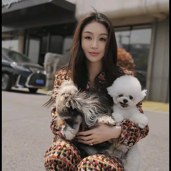 懒猫nono  尚品
