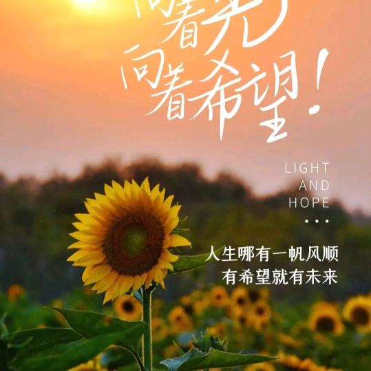 拥抱阳光