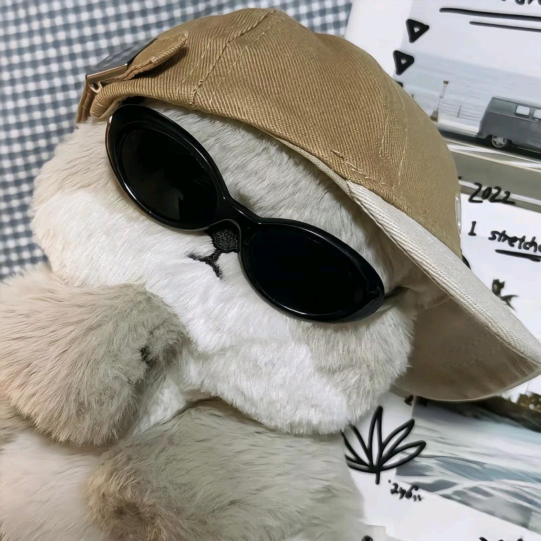 78学长（校园经济）