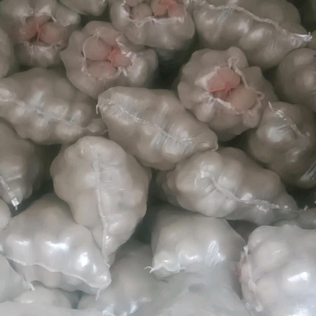 专业批发黄心土豆，张三丰