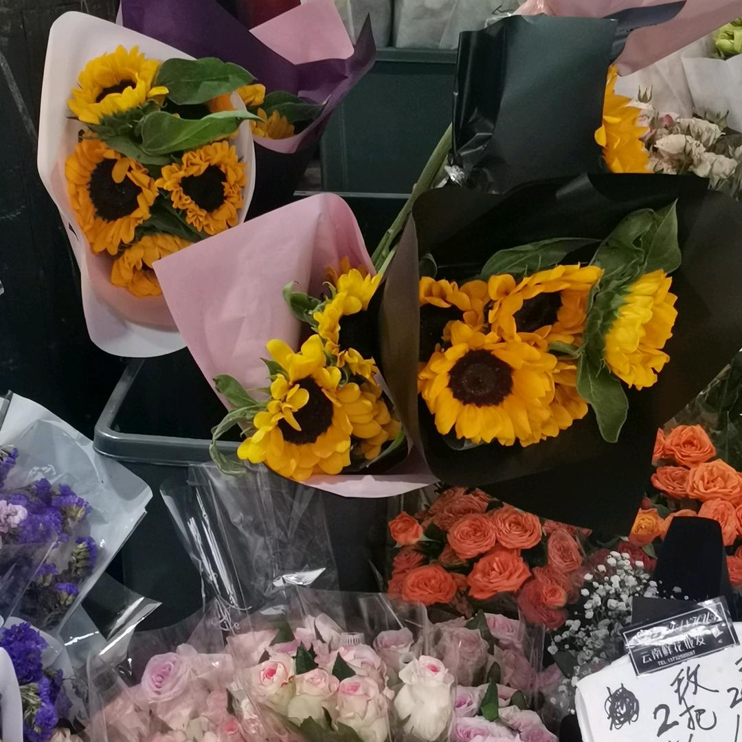 暂停键