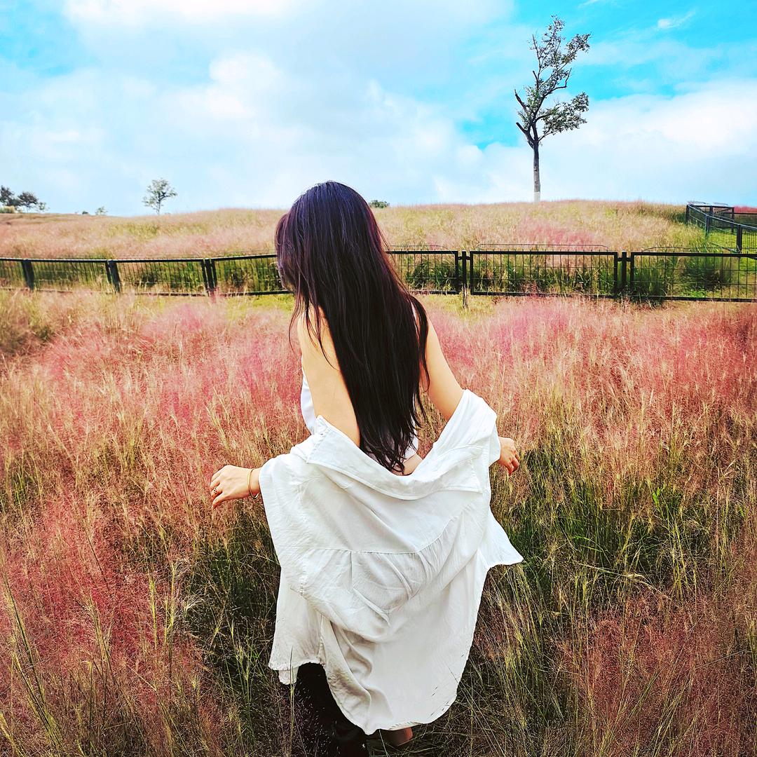 @汪火火（橱窗营业中）