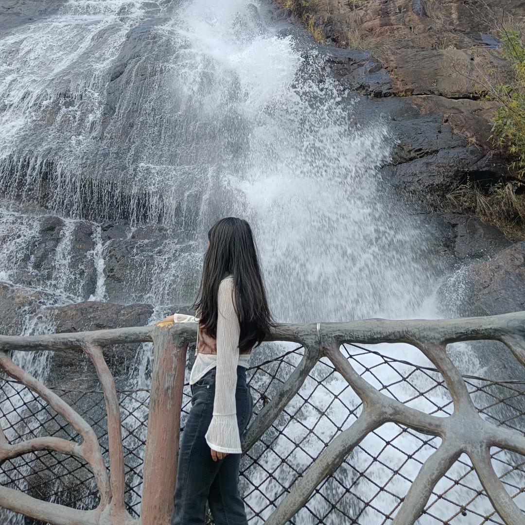不爱吃青菜